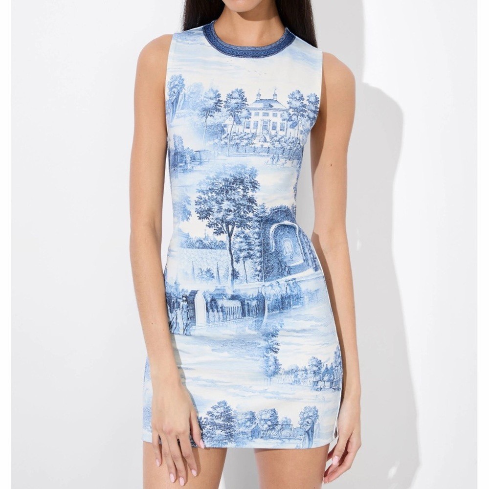 Alice + Olivia Wynell Chateau A Line Mini Dress Blue Toile De Jouy Floral 10
